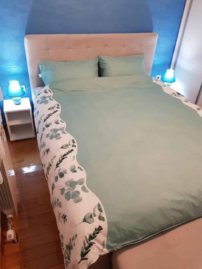 Apartman Kej Blue Free Parking Kraljevo Esterno foto
